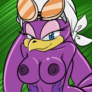 Rating: Questionable Score: 0 Tags: 1:1 anthro avian beak big_breasts bird blue_eyes blush breasts clothing e621 eyewear female flame_markings goggles headgear headkerchief headwear hirundinid kerchief looking_at_viewer markings nipples non-mammal_breasts non-mammal_nipples oscine passerine purple_body purple_nipples purple_skin saltcore sega solo sonic_riders sonic_the_hedgehog_(series) swallow_(bird) wave_the_swallow User: bunchy7s