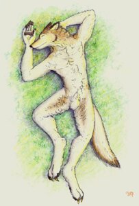 Rating: Explicit Score: 0 Tags: 2007 animal_genitalia anthro balls biped canid canine canis domestic_dog e621 fully_sheathed genitals grass lying male mammal nude on_back outside plant sheath solo theslateguardian User: bunchy7s