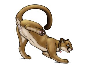 Rating: Explicit Score: 0 Tags: 4:3 after_anal after_anal_penetration after_sex after_vaginal after_vaginal_penetration anus blue_eyes bodily_fluids butt collar cougar cum cum_from_ass cum_from_vagina cum_in_ass cum_in_vagina cum_inside e621 feet felid feline felis female feral genital_fluids genitals heart_symbol hindpaw jewelry kisu leaking_cum mammal necklace paws presenting presenting_cum_inside presenting_hindquarters presenting_vulva raised_leg raised_tail solo tail tail_anus vaginal_fluids vulva User: bunchy7s