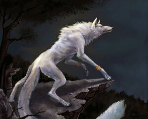 Rating: Safe Score: 0 Tags: 2010 ambiguous_gender canid canine canis digitigrade e621 feral mammal plant rhnn531136 rock solo tail tree wolf wood yellow_eyes User: bunchy7s
