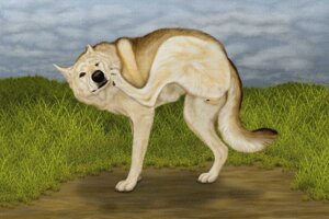 Rating: Explicit Score: 0 Tags: anatomically_correct anatomically_correct_genitalia anatomically_correct_vulva animal_genitalia animal_vulva black_nose brown_eyes canid canine canine_genitalia canine_vulva canis claws cloud detailed_background dirt e621 ebon_lupus female feral fluffy fluffy_tail genitals grass grey_sky looking_at_viewer mammal outside overcast paws photorealism plant raised_leg realistic scratch sky solo tail vulva wolf User: bunchy7s Rating: Explicit Score: 0 Tags: anatomically_correct anatomically_correct_genitalia anatomically_correct_vulva animal_genitalia animal_vulva black_nose brown_eyes canid canine canine_genitalia canine_vulva canis claws cloud detailed_background dirt e621 ebon_lupus female feral fluffy fluffy_tail genitals grass grey_sky looking_at_viewer mammal outside overcast paws photorealism plant raised_leg realistic scratch sky solo tail vulva wolf User: bunchy7s