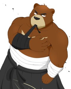 Rating: Safe Score: 0 Tags: 12beat13 4:5 anthro bandage bear belt biceps big_muscles biped black_eyes black_nose brown_body brown_fur clothed clothing e621 fur juuichi_mikazuki looking_at_viewer male mammal morenatsu muscular muscular_anthro muscular_male pecs pose robe simple_background solo standing topless white_background User: bunchy7s