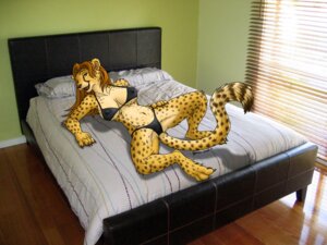 Rating: Explicit Score: 0 Tags: 2008 4:3 anthro bed bikini biped breasts camel_toe cheetah clothed clothing e621 felid feline female fur furniture hi_res hyhlion inside lying mammal nipples on_back on_bed skimpy solo spread_legs spreading swimwear third-party_edit two-piece_swimsuit yellow_body yellow_fur User: bunchy7s Rating: Explicit Score: 0 Tags: 2008 4:3 anthro bed bikini biped breasts camel_toe cheetah clothed clothing e621 felid feline female fur furniture hi_res hyhlion inside lying mammal nipples on_back on_bed skimpy solo spread_legs spreading swimwear third-party_edit two-piece_swimsuit yellow_body yellow_fur User: bunchy7s