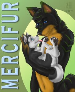 Rating: Safe Score: 0 Tags: age_difference ambiguous_gender anthro canid canine canis child domestic_dog duo e621 fur hi_res husky male mammal mercifur nordic_sled_dog simple_background spitz tail young young_anthro zenthetiger User: bunchy7s