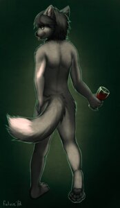Rating: Safe Score: 0 Tags: 2012 4_toes alcohol anthro beverage canid canine canis digital_media_(artwork) digital_painting_(artwork) digitigrade e621 falvie feet femboy fur green_eyes grey_body grey_fur grey_hair hair hand_on_butt hi_res hindpaw holding_glass holding_object looking_at_viewer looking_back male mammal nude painting_(artwork) pawpads paws skinny soles solo tail toes wide_hips wine wolf User: bunchy7s