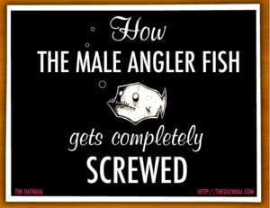 Rating: Safe Score: 0 Tags: ambiguous_gender anglerfish aquatic e621 english_text feral fish glowing heart_symbol open_mouth solo teeth text the_oatmeal User: bunchy7s