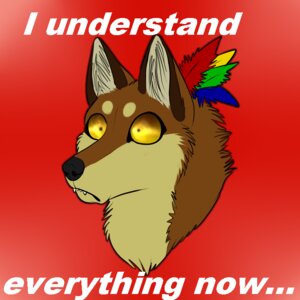 Rating: Safe Score: 0 Tags: 1:1 amber_eyes big_ears big_eyes bite black_nose brown_body brown_fur canid canine canis domestic_dog e621 ellipsis english_text fangs feathers female feral fur hashire hashire_(character) humor insane lol_comments mammal meme reaction_image shocked solo tan_body tan_fur teeth text tribal wolf User: bunchy7s