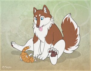 Rating: Safe Score: 0 Tags: abigfathen ambiguous_gender blue_eyes canid canine canis critter domestic_cat domestic_dog duo e621 feet felid feline felis feral green_eyes hindpaw husky mackerel_tabby mammal nordic_sled_dog pawpads paws spitz tabby_cat tail tongue tongue_out User: bunchy7s Rating: Safe Score: 0 Tags: abigfathen ambiguous_gender blue_eyes canid canine canis critter domestic_cat domestic_dog duo e621 feet felid feline felis feral green_eyes hindpaw husky mackerel_tabby mammal nordic_sled_dog pawpads paws spitz tabby_cat tail tongue tongue_out User: bunchy7s