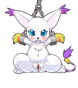 Rating: Explicit Score: 0 Tags: angry blue_eyes blush chains digimon fangs feline female furry furry_only gatomon navel pussy rule34 simple_background spread_legs tail tailmon whiskers User: bunchy7s Rating: Explicit Score: 0 Tags: angry blue_eyes blush chains digimon fangs feline female furry furry_only gatomon navel pussy rule34 simple_background spread_legs tail tailmon whiskers User: bunchy7s