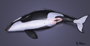 Rating: Explicit Score: 0 Tags: animal_genitalia animal_vulva aquatic blush bodily_fluids body_blush cetacean cetacean_genitalia cetacean_vulva dolorcin dolphin e621 female feral genital_fluids genitals lying mammal motion_lines navel oceanic_dolphin on_side open_mouth orca pregnant simple_background solo toothed_whale vaginal vaginal_fluids vulva vulva_blush wet User: bunchy7s