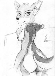 Rating: Questionable Score: 0 Tags: 2008 anthro biped breasts canid canine canis creative_commons deadjackal e621 female half_turn jackal looking_at_viewer looking_back mammal monochrome nipples rear_view side_boob solo standing tail User: bunchy7s Rating: Questionable Score: 0 Tags: 2008 anthro biped breasts canid canine canis creative_commons deadjackal e621 female half_turn jackal looking_at_viewer looking_back mammal monochrome nipples rear_view side_boob solo standing tail User: bunchy7s