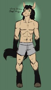 Rating: Safe Score: 0 Tags: anthro biped black_hair boxers_(clothing) caisson caisson_(character) clothing e621 equid equine green_eyes grey_clothing grey_underwear hair hi_res horse male mammal morgan_horse solo standing syrae-universe tail underwear User: bunchy7s