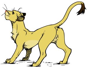 Rating: Explicit Score: 0 Tags: anatomically_correct animal_genitalia animal_vulva anus e621 felid feline_genitalia feline_vulva female feral genitals hi_res lion looking_at_viewer mammal pantherine presenting raised_tail simple_background solo standing tail tail_anus unknown_artist vulva white_background User: bunchy7s
