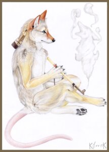 Rating: Safe Score: 0 Tags: 4_toes 5_fingers anthro biped black_nose blue_eyes border brown_body brown_fur canid canine canis claws coyote crossed_legs e621 feet fingers fur grey_body grey_fur holding_object hybrid korrok male mammal murid murine native_american nude pink_body pink_skin rat rodent simple_background sitting smoke smoking_pipe solo tail toes white_background white_body white_skin yellow_border User: bunchy7s