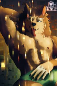 Rating: Questionable Score: 0 Tags: 2013 abs anthro biceps brown_body brown_fur bulge canid canine canis claws clothed clothing digital_media_(artwork) domestic_dog e621 flexing fur german_shepherd green_eyes hair hand_behind_head heart_symbol herding_dog hi_res hybrid joh29 long_hair looking_at_viewer male mammal muscular muscular_anthro muscular_male nipples open_mouth pastoral_dog pecs pose smile solo suni teeth tongue topless underwear white_body white_fur wolf User: bunchy7s