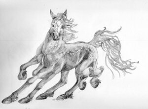 Rating: Safe Score: 0 Tags: 8_legs 8_limbs ambiguous_gender e621 equid equine european_mythology feral glowcat greek_mythology greyscale hooves horse looking_at_viewer mammal mane monochrome multi_leg multi_limb mythological_creature mythology norse_mythology scales simple_background sleipnir solo tail white_background User: bunchy7s Rating: Safe Score: 0 Tags: 8_legs 8_limbs ambiguous_gender e621 equid equine european_mythology feral glowcat greek_mythology greyscale hooves horse looking_at_viewer mammal mane monochrome multi_leg multi_limb mythological_creature mythology norse_mythology scales simple_background sleipnir solo tail white_background User: bunchy7s