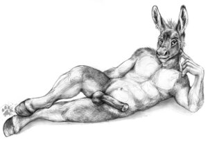 Rating: Explicit Score: 0 Tags: 2012 animal_genitalia animal_penis anthro asinus athletic athletic_anthro athletic_male balls biped blotch donkey e621 equid equine equine_genitalia equine_penis erection genitals greyscale hair hooves looking_at_viewer lying male mammal monochrome muscle_tone nude on_side penis scratches_volume_6 simple_background sketch solo traditional_media_(artwork) white_background User: bunchy7s Rating: Explicit Score: 0 Tags: 2012 animal_genitalia animal_penis anthro asinus athletic athletic_anthro athletic_male balls biped blotch donkey e621 equid equine equine_genitalia equine_penis erection genitals greyscale hair hooves looking_at_viewer lying male mammal monochrome muscle_tone nude on_side penis scratches_volume_6 simple_background sketch solo traditional_media_(artwork) white_background User: bunchy7s