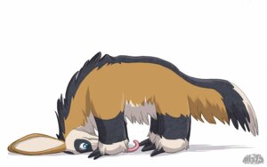 Rating: Safe Score: 0 Tags: 2010 alternate_species ambiguous_gender anteater black_body black_fur blue_eyes cel_shading domestic_ferret e621 feet female feral feralized fur hybrid long_ears long_tongue mammal misty_striker mistystriker mustelid musteline nude pilosan shaded side_view simple_background solo tail tan_body tan_fur tongue tongue_out true_musteline weasel white_background xenarthran User: bunchy7s