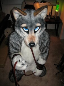 Rating: Questionable Score: 0 Tags: anthro bdsm bondage bound canid canine canis clothing collar costume e621 fursuit grandfathered_content leash male mammal pose real solo submissive submissive_male unknown_artist wolf User: bunchy7s Rating: Questionable Score: 0 Tags: anthro bdsm bondage bound canid canine canis clothing collar costume e621 fursuit grandfathered_content leash male mammal pose real solo submissive submissive_male unknown_artist wolf User: bunchy7s