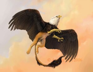 Rating: Explicit Score: 0 Tags: 2006 amber_hill animal_genitalia artist_name avian balls beak e621 english_text feathered_wings feathers feral flying fully_sheathed genitals gryphon male mythological_avian mythological_creature mythology quadruped sheath solo tail tail_tuft text tuft watermark wings User: bunchy7s Rating: Explicit Score: 0 Tags: 2006 amber_hill animal_genitalia artist_name avian balls beak e621 english_text feathered_wings feathers feral flying fully_sheathed genitals gryphon male mythological_avian mythological_creature mythology quadruped sheath solo tail tail_tuft text tuft watermark wings User: bunchy7s
