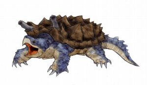 Rating: Safe Score: 0 Tags: ambiguous_gender blastoise blue_body blue_skin cannons e621 feral feralized generation_1_pokemon nintendo pokemon pokemon_(species) quadruped realistic reptile scalie shell simple_background snapping_turtle solo source_request tail turtle turtle_shell unknown_artist white_background User: bunchy7s