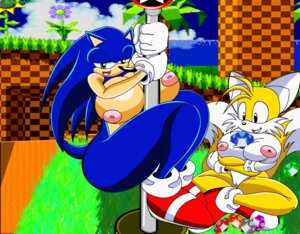 Rating: Explicit Score: 0 Tags: anthro big_breasts blue_body blue_fur breasts canid canine chaos_emerald crossgender dipstick_tail duo e621 eulipotyphlan female fox fur gem genitals hedgehog huge_breasts looking_at_viewer mammal markings miles_prower mtf_crossgender nipples nobody147 nude sega sonic_the_hedgehog sonic_the_hedgehog_(series) tail tail_markings vulva User: bunchy7s Rating: Explicit Score: 0 Tags: anthro big_breasts blue_body blue_fur breasts canid canine chaos_emerald crossgender dipstick_tail duo e621 eulipotyphlan female fox fur gem genitals hedgehog huge_breasts looking_at_viewer mammal markings miles_prower mtf_crossgender nipples nobody147 nude sega sonic_the_hedgehog sonic_the_hedgehog_(series) tail tail_markings vulva User: bunchy7s
