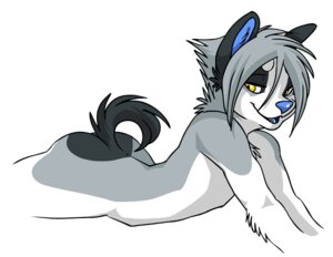 Rating: Questionable Score: 0 Tags: alaskan_klee_kai anthro blue_nose butt canid canine canis domestic_dog e621 fur grey_body grey_fur grey_hair hair half-closed_eyes male mammal muzz muzz_(muzz) narrowed_eyes nude open_mouth solo spitz sputnik_(artist) yellow_eyes User: bunchy7s