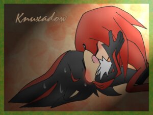 Rating: Explicit Score: 0 Tags: anthro echidna fur hedgehog knuckles_the_echidna male male_only mammal monotreme multiple_males nude rule34 sega sex shadow_the_hedgehog side_view sonic_(series) sonic_the_hedgehog_(series) straight_hair tagme yaoi User: bunchy7s