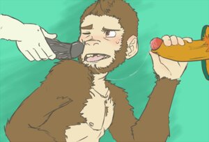 Rating: Explicit Score: 0 Tags: bodily_fluids brown_body brown_eyes brown_fur cum dildo disembodied_hand disembodied_penis e621 erection eyebrows feral foreskin fur genital_fluids genitals glory_hole group group_sex hand_on_penis haplorhine humanoid_genitalia humanoid_penis male male/male mammal monkey monowayuu nipples nude one_eye_closed open_mouth penis primate pubes retracted_foreskin saliva saliva_string sex sex_toy solo_focus threesome tongue tongue_out trio User: bunchy7s Rating: Explicit Score: 0 Tags: bodily_fluids brown_body brown_eyes brown_fur cum dildo disembodied_hand disembodied_penis e621 erection eyebrows feral foreskin fur genital_fluids genitals glory_hole group group_sex hand_on_penis haplorhine humanoid_genitalia humanoid_penis male male/male mammal monkey monowayuu nipples nude one_eye_closed open_mouth penis primate pubes retracted_foreskin saliva saliva_string sex sex_toy solo_focus threesome tongue tongue_out trio User: bunchy7s