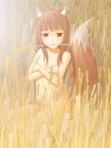 Rating: Questionable Score: 0 Tags: 3:4 animal_humanoid canid canid_humanoid canine canine_humanoid canis casual_nudity covering covering_self dipstick_tail e621 female holo_(spice_and_wolf) humanoid mammal mammal_humanoid markings nude oka_takeshi outside red_eyes sitting solo spice_and_wolf tail tail_markings wheat wolf wolf_humanoid User: bunchy7s Rating: Questionable Score: 0 Tags: 3:4 animal_humanoid canid canid_humanoid canine canine_humanoid canis casual_nudity covering covering_self dipstick_tail e621 female holo_(spice_and_wolf) humanoid mammal mammal_humanoid markings nude oka_takeshi outside red_eyes sitting solo spice_and_wolf tail tail_markings wheat wolf wolf_humanoid User: bunchy7s