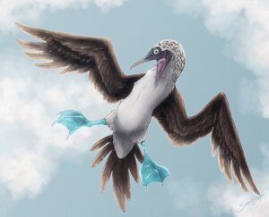 Rating: Safe Score: 0 Tags: 2014 :d ambiguous_gender avian beak bird blue-footed_booby booby_(bird) claws cloud detailed_background e621 feathered_wings feathers feet feral flying glistening happy looking_at_viewer membrane_(anatomy) oliverfox open_mouth outside shadow silly sky skyscape smile solo spread_legs spreading sulid suliform toe_claws toes tongue webbed_feet wings yellow_eyes User: bunchy7s