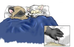 Rating: Explicit Score: 0 Tags: 2008 ambiguous_gender anthro bed dingyote duo e621 eyes_closed female fingering fur furniture genitals hand_on_another's_pussy hand_on_vulva mammal procyonid raccoon sachicoon_(char) simple_background sleeping touching_pussy vulva white_background white_body white_fur User: bunchy7s