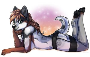 Rating: Questionable Score: 0 Tags: 2012 anthro arms_bent australian_cattle_dog bent_legs calves_up canid canine canis cattledog clothed clothing domestic_dog e621 etuix feet_together female garter_belt garter_straps herding_dog knock-kneed lace legs_together legwear looking_at_viewer lying mammal on_front pastoral_dog pinup pose raised_calf skimpy solo stockings tail topless watermark User: bunchy7s Rating: Questionable Score: 0 Tags: 2012 anthro arms_bent australian_cattle_dog bent_legs calves_up canid canine canis cattledog clothed clothing domestic_dog e621 etuix feet_together female garter_belt garter_straps herding_dog knock-kneed lace legs_together legwear looking_at_viewer lying mammal on_front pastoral_dog pinup pose raised_calf skimpy solo stockings tail topless watermark User: bunchy7s