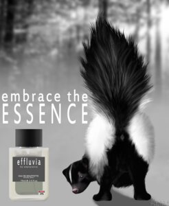 Rating: Explicit Score: 0 Tags: anus backsack balls black_body black_eyes black_fur bottle butt cologne conditional_dnp container e621 emptyset feral fur genitals hi_res looking_at_viewer male mammal mephitid presenting presenting_hindquarters raised_tail skunk solo tail white_body white_fur User: bunchy7s