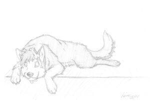 Rating: Safe Score: 0 Tags: ambiguous_gender bone canid canine canis collar digitigrade domestic_dog e621 feral husky leiru looking_at_viewer mammal monochrome nordic_sled_dog quadruped sketch solo spitz tail wachhund_(character) User: bunchy7s