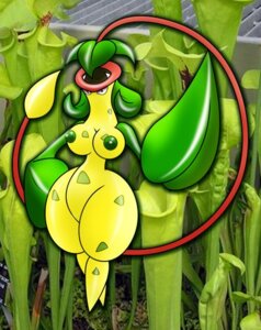 Rating: Explicit Score: 0 Tags: anthro anthro_only breasts color colored_areola colored_nipples female female_only flora_fauna front_view gb_of_bs green_areola green_nipples nipples pokemon rule34 solo tagme victreebel User: bunchy7s Rating: Explicit Score: 0 Tags: anthro anthro_only breasts color colored_areola colored_nipples female female_only flora_fauna front_view gb_of_bs green_areola green_nipples nipples pokemon rule34 solo tagme victreebel User: bunchy7s