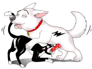 Rating: Explicit Score: 0 Tags: bolt_(bolt) bolt_(film) canine cat disney dog feline fellatio female feral fur furry furry_only male mittens_(bolt) nude oral penis rule34 side_view straight User: bunchy7s Rating: Explicit Score: 0 Tags: bolt_(bolt) bolt_(film) canine cat disney dog feline fellatio female feral fur furry furry_only male mittens_(bolt) nude oral penis rule34 side_view straight User: bunchy7s