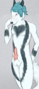 Rating: Explicit Score: 0 Tags: 2013 anthro arctic_fox balls canid canine e621 erection fox genitals knot lots0dots male mammal nude penis shouhei_(shouhei) solo tail true_fox User: bunchy7s