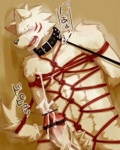 Rating: Explicit Score: 0 Tags: anthro blush bondage canine censored collar cum fur furry leash male male_only nude penis piercing rope rule34 silverio solo wolf User: bunchy7s