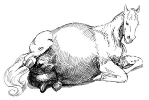 Rating: Questionable Score: 0 Tags: belly big_belly big_teats big_udders black_eyes e621 equid equine equine_teats equine_udders female feral greyscale hooves horse huge_teats huge_udders hyper hyper_teats hyper_udders mammal mane mark_stretch monochrome pregnant pregnant_female simple_background solo tail teats udders vein veiny_belly veiny_teats veiny_udders white_background User: bunchy7s