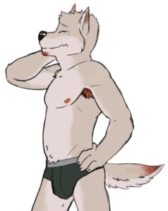 Rating: Safe Score: 0 Tags: anthro armpit_hair black_clothing black_nose black_underwear body_hair briefs canid canine canis clothed clothing e621 eyes_closed genchi male mammal pubes simple_background solo tail topless underwear underwear_only wolf User: bunchy7s