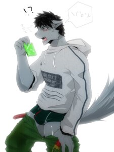 Rating: Explicit Score: 0 Tags: 3:4 anthro athletic athletic_anthro athletic_male barazoku belt blush bottomwear bottomwear_down briefs bulge canid canine canis clothed clothing clothing_cord drawstring drawstring_topwear e621 english_text hoodie ig1119 japanese_text male mammal pants pants_down partially_clothed simple_background solo speedo swimwear tail text topwear underwear wolf User: bunchy7s