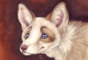 Rating: Safe Score: 0 Tags: 2014 ambiguous_gender bloodhound_omega blue_eyes brown_background bust_portrait canid canine conditional_dnp detailed e621 feral fur looking_aside mammal portrait simple_background solo tan_body tan_fur white_body white_fur User: bunchy7s