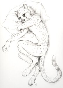 Rating: Safe Score: 0 Tags: 2010 anthro bed cheetah e621 felid feline furniture greyscale lying male mammal monochrome nduli nude on_side pillow simple_background sketch solo tail white_background User: bunchy7s