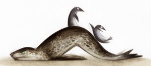 Rating: Safe Score: 0 Tags: 2012 ambiguous_gender angry aquatic avian bird e621 feral group leopard_seal lying mammal on_front penguin pinniped seal skia User: bunchy7s Rating: Safe Score: 0 Tags: 2012 ambiguous_gender angry aquatic avian bird e621 feral group leopard_seal lying mammal on_front penguin pinniped seal skia User: bunchy7s