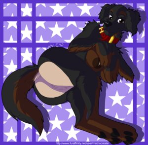 Rating: Explicit Score: 0 Tags: anthro aysu_(mr_chocolate) breasts brown_nipples canid canine canis collar domestic_dog e621 female genitals mammal mrchocolate nipples nude presenting presenting_vulva solo tail tan_vulva text url vulva User: bunchy7s