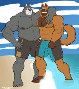 Rating: Safe Score: 0 Tags: 2011 abs anthro beach biceps big_muscles canid canine canis clothing cloud domestic_dog duo e621 fur great_dane hound_(houndgrey) houndgrey looking_at_viewer male mammal mastiff molosser muscular muscular_male oso_(houndgrey) outside pecs photo seaside sky smile standing swimming_trunks swimwear tail wrestler User: bunchy7s