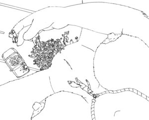 Rating: Explicit Score: 0 Tags: anthro bdsm black_and_white blood bodily_fluids bondage bound breasts canid canine canis car death domestic_dog e621 english_text felid female female_pov first_person_view fox group husky itchigo_icetalons jewelry macro male mammal monochrome mouse murid murine necklace nipples nordic_sled_dog nude pantherine pred_pov resisting rodent smile spitz tail tail_motion tailwag text tiger unavailable_at_source unbirthing vaginal vehicle vore wolf User: bunchy7s Rating: Explicit Score: 0 Tags: anthro bdsm black_and_white blood bodily_fluids bondage bound breasts canid canine canis car death domestic_dog e621 english_text felid female female_pov first_person_view fox group husky itchigo_icetalons jewelry macro male mammal monochrome mouse murid murine necklace nipples nordic_sled_dog nude pantherine pred_pov resisting rodent smile spitz tail tail_motion tailwag text tiger unavailable_at_source unbirthing vaginal vehicle vore wolf User: bunchy7s