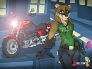 Rating: Safe Score: 0 Tags: 4:3 albinoart anthro city clothing domestic_ferret e621 female flower gloves hair handwear light looking_at_viewer mammal motorcycle mustelid musteline plant road solo true_musteline vehicle weasel window User: bunchy7s Rating: Safe Score: 0 Tags: 4:3 albinoart anthro city clothing domestic_ferret e621 female flower gloves hair handwear light looking_at_viewer mammal motorcycle mustelid musteline plant road solo true_musteline vehicle weasel window User: bunchy7s