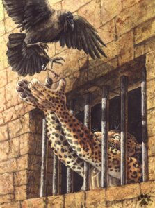 Rating: Safe Score: 0 Tags: 2010 5_fingers anthro avian bars beak bird black_body black_feathers black_fur blotch claws clothed clothing corvid corvus_(genus) crow detailed duo e621 feathers felid feral fingers flying fur hooded_crow key leopard leopard_spots looking_at_another looking_up male mammal nude open_mouth orange_body orange_fur oscine pantherine passerine prison prison_bars prison_cell reaching rescue size_difference spots spottacus spread_wings traditional_media_(artwork) whiskers window wings User: bunchy7s